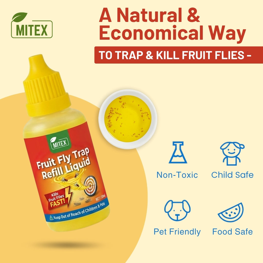 Fruit Fly Trap – For Indoor & Kitchen Use