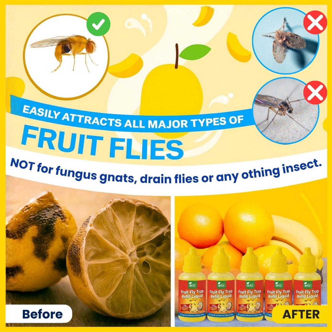 Fruit Fly Trap – For Indoor & Kitchen Use