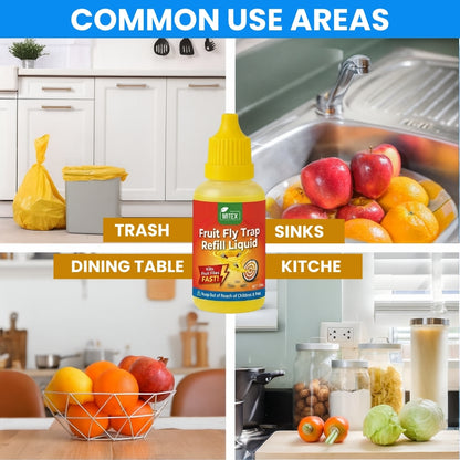 Fruit Fly Trap – For Indoor & Kitchen Use