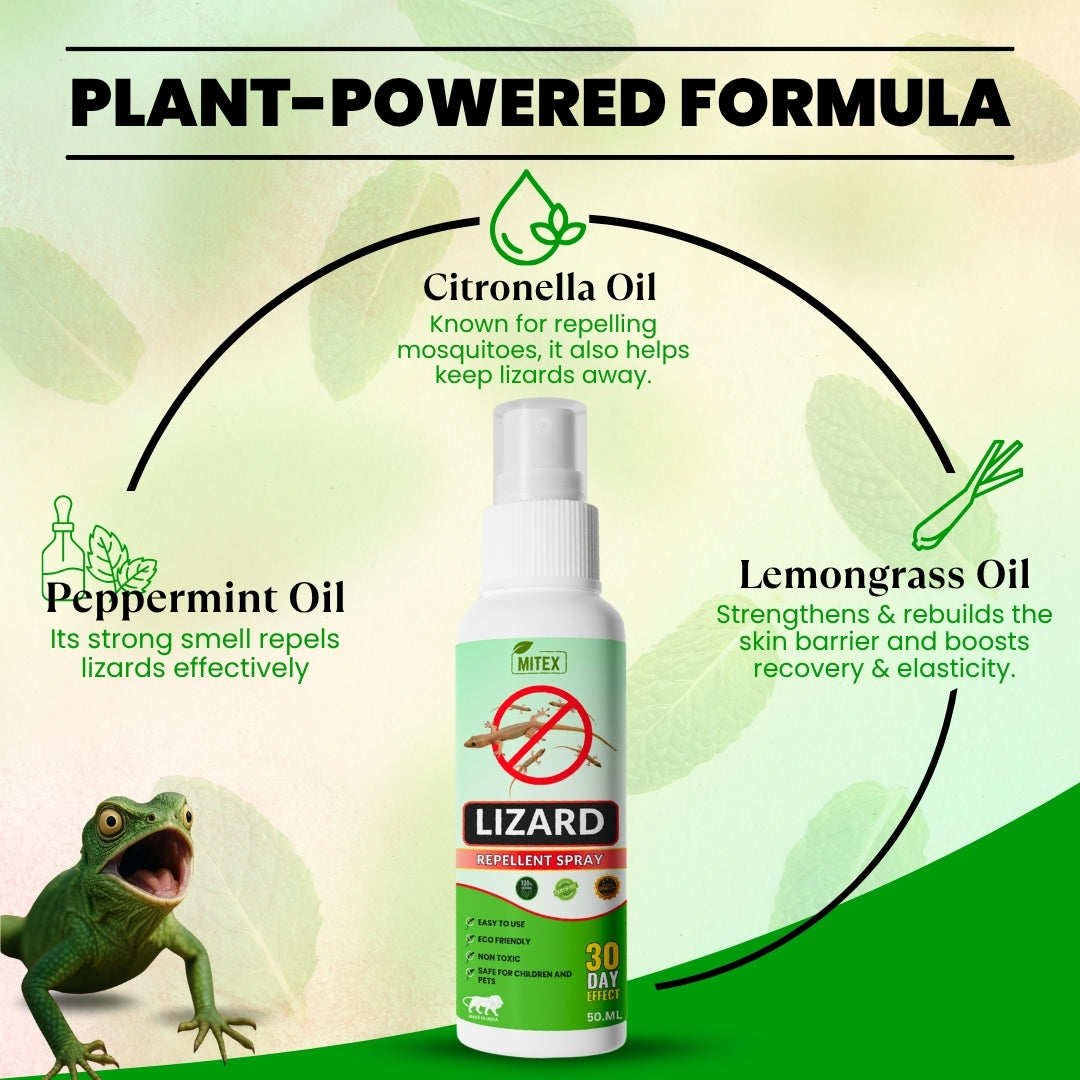 Lizard Repellent Spray - Protect your home from Pest, mite & insects – Mitex