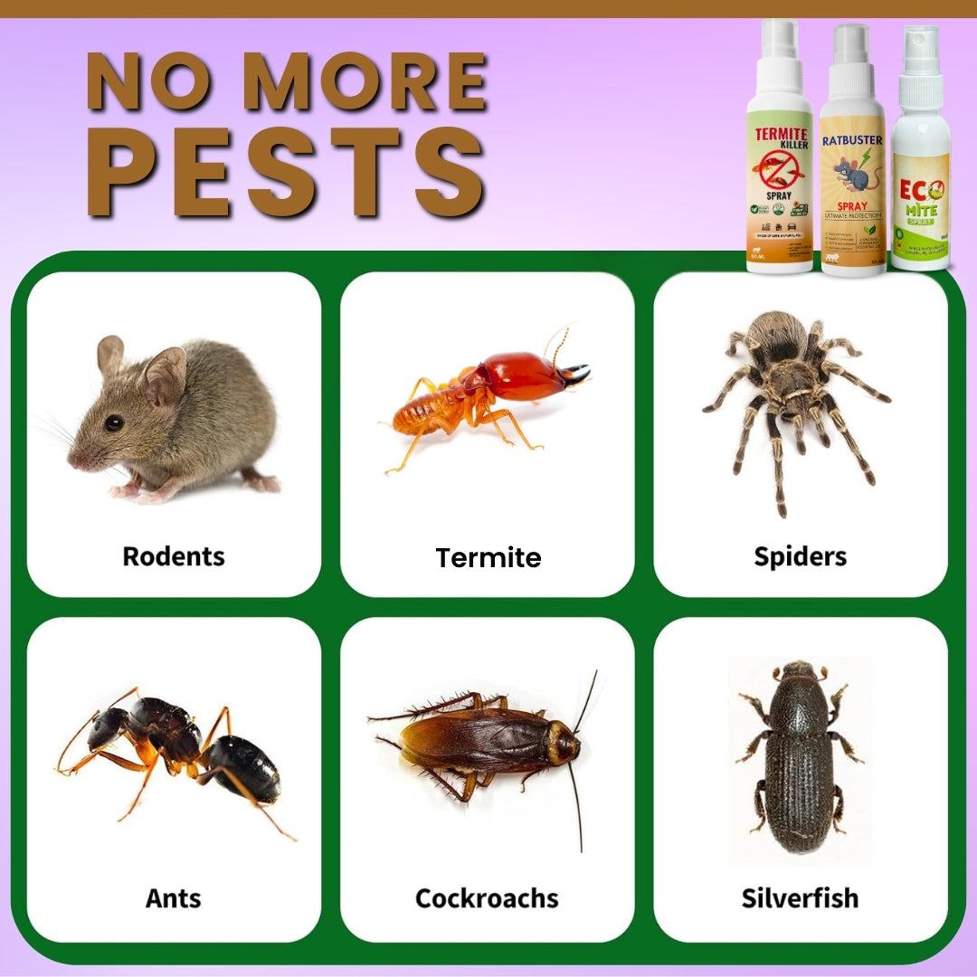 Rat, Termite and Mite Spray Combo - Ultimate Home Protection Combo