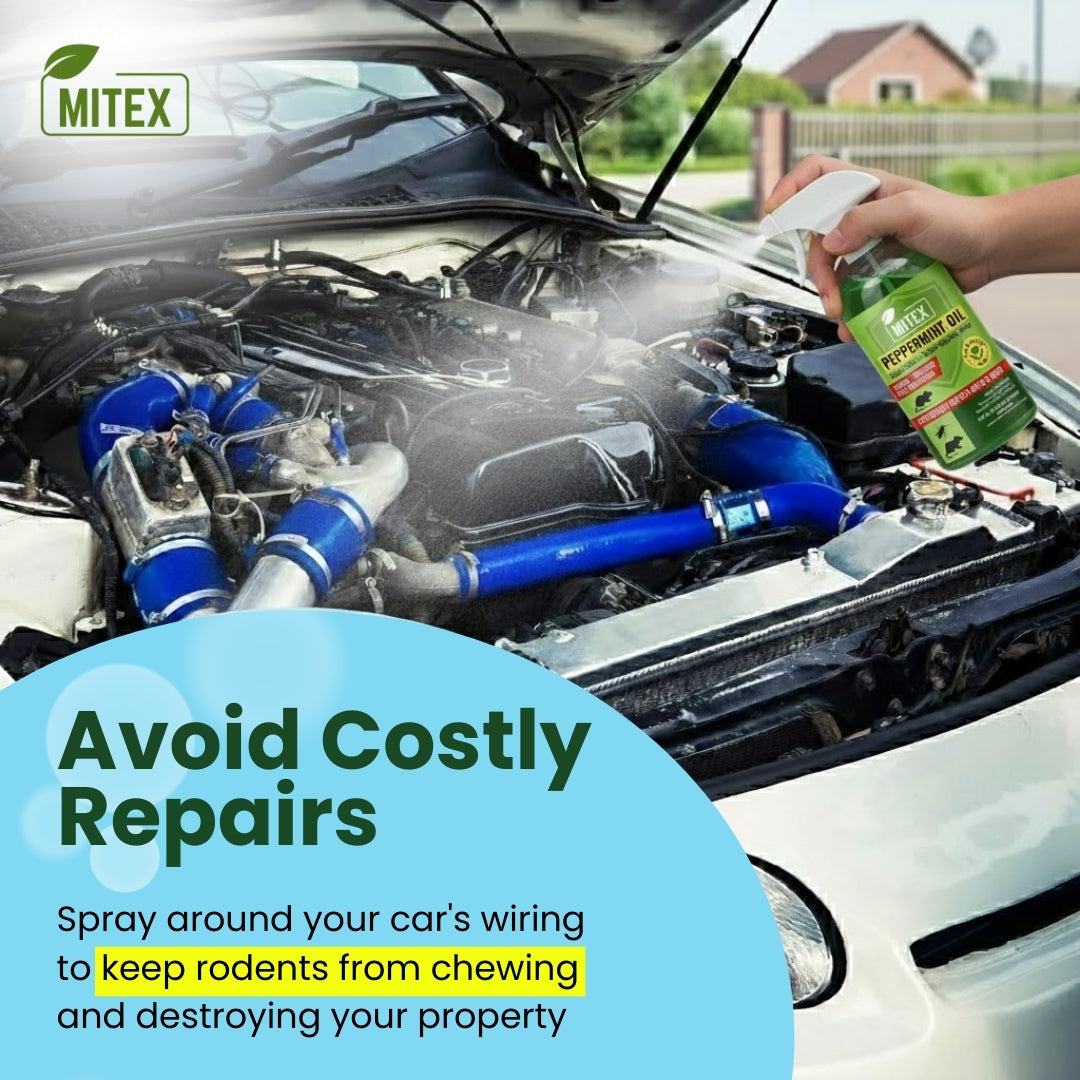 Peppermint Oil Spray - For Rodents, Insects & Cockroaches