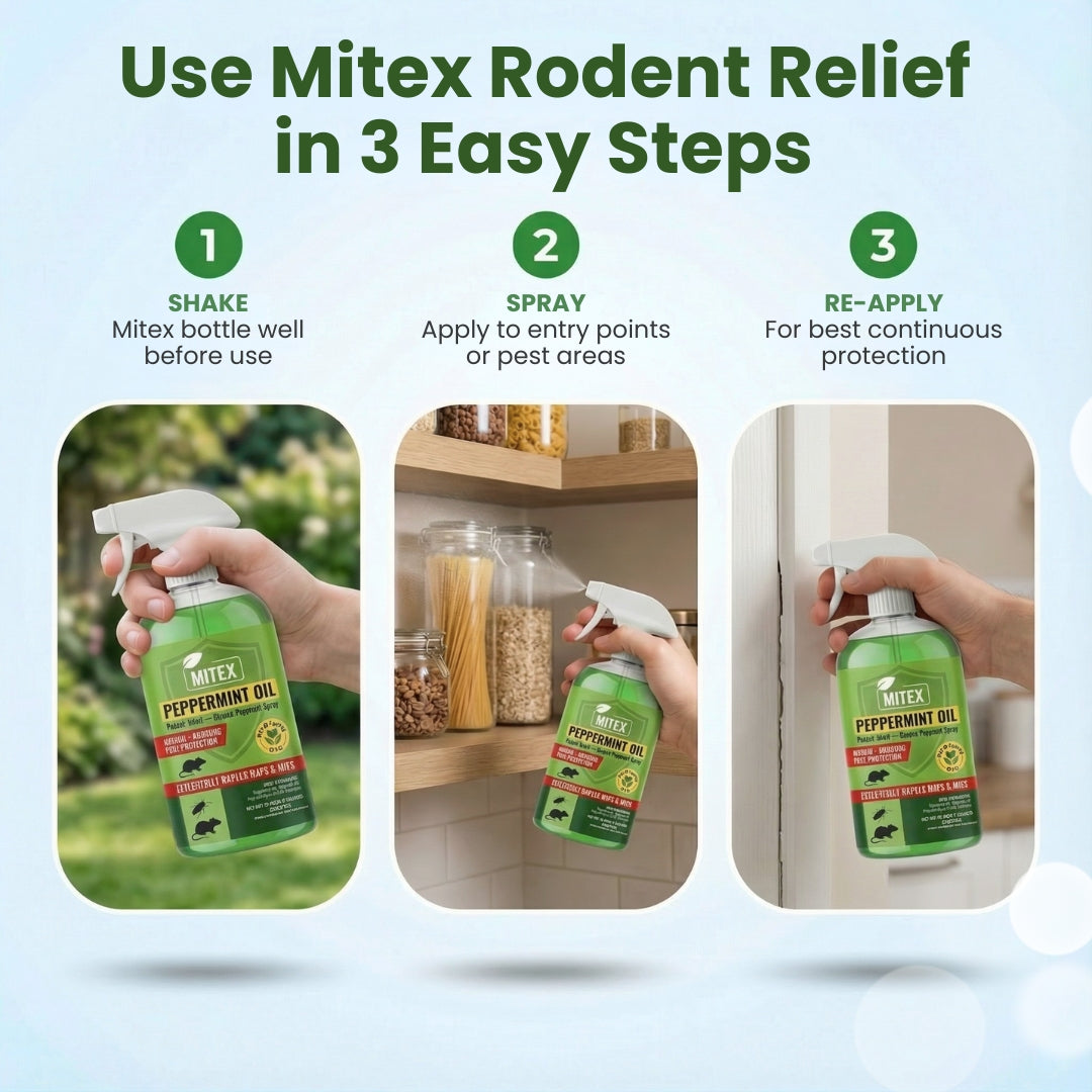 Peppermint Oil Spray - For Rodents, Insects & Cockroaches