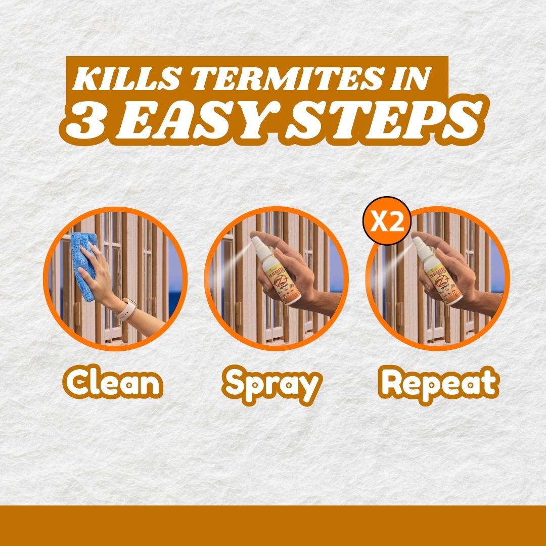 Termite Killer Spray - Effective solution for home (Pack of 5)
