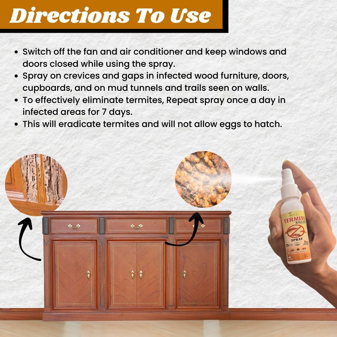 Termite Killer Spray - Effective solution for home (Pack of 5) – Mitex