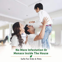 Termite Killer Spray - Effective Pest solution for your home – Mitex