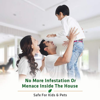 Termite Killer Spray - Effective solution for home (Pack of 5)