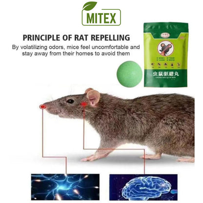 RatGuard Repellent Ball - Keep Your Home Safe