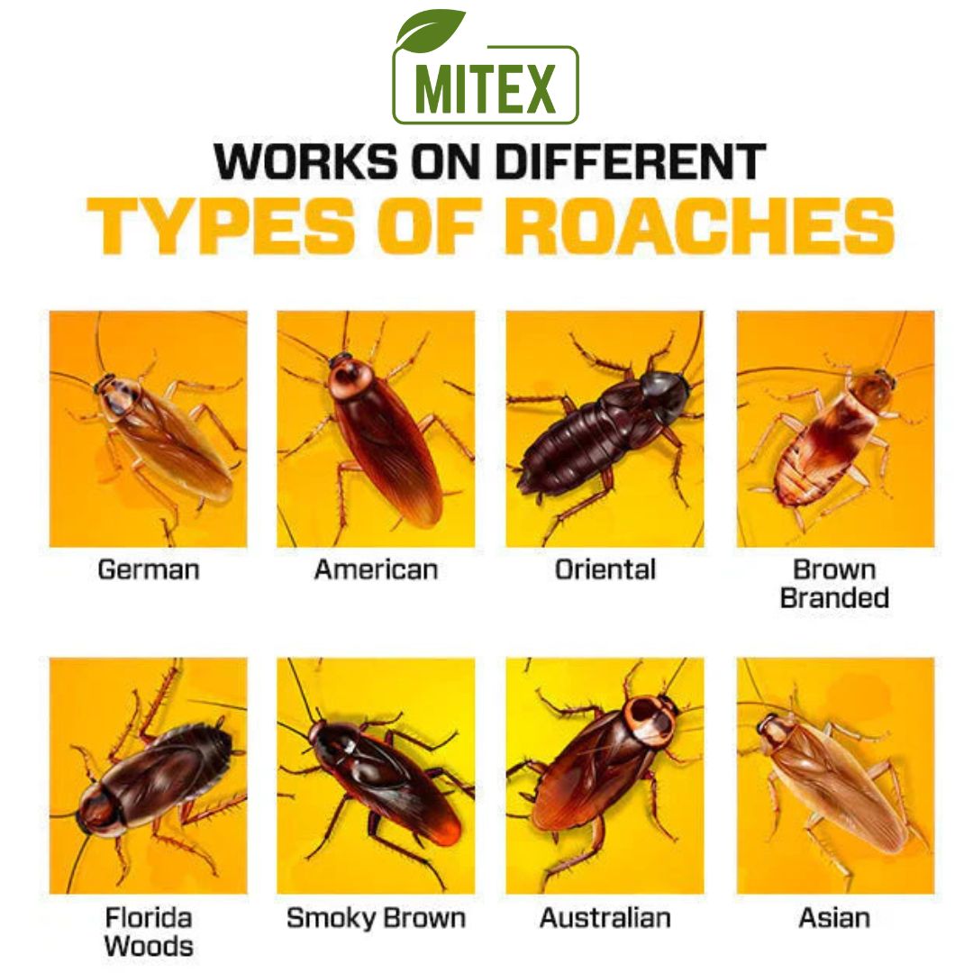 Cockroach Repellent Gel Bait - Eliminate roaches & other insects from home