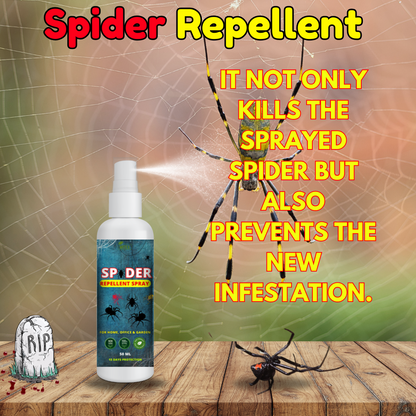 Spider Repellent Spray – Natural Protection for Home, Office & Garden