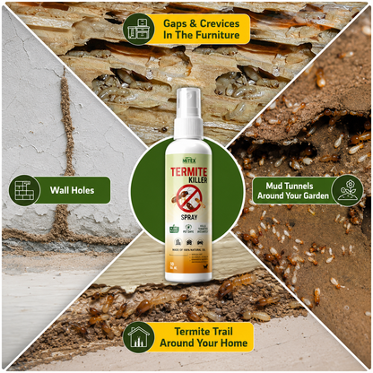 Termite Killer Spray - Effective Pest solution for your home