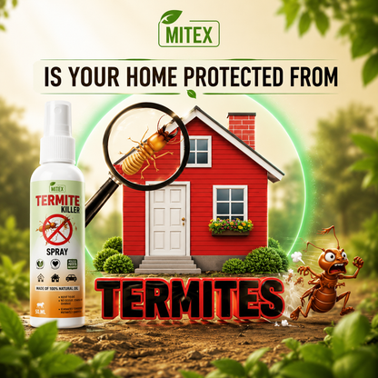 Termite Killer Spray - Effective Pest solution for your home
