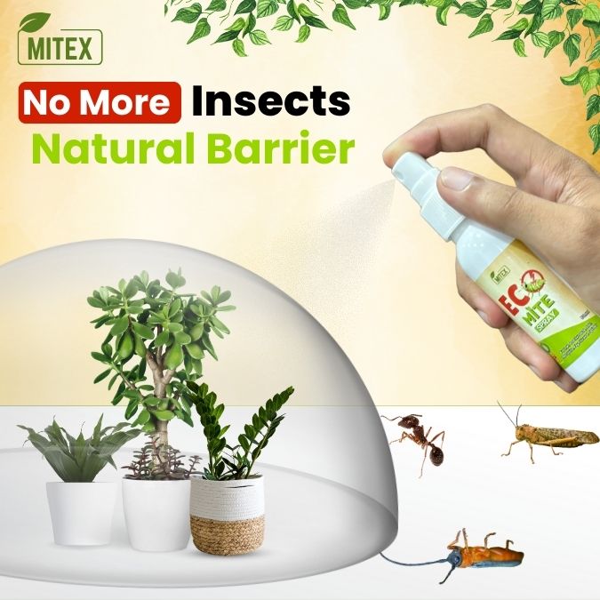 Eco Mite Spray -  BUY 1 GET 1 FREE