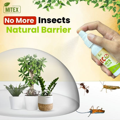 Eco Mite Spray -  BUY 1 GET 1 FREE