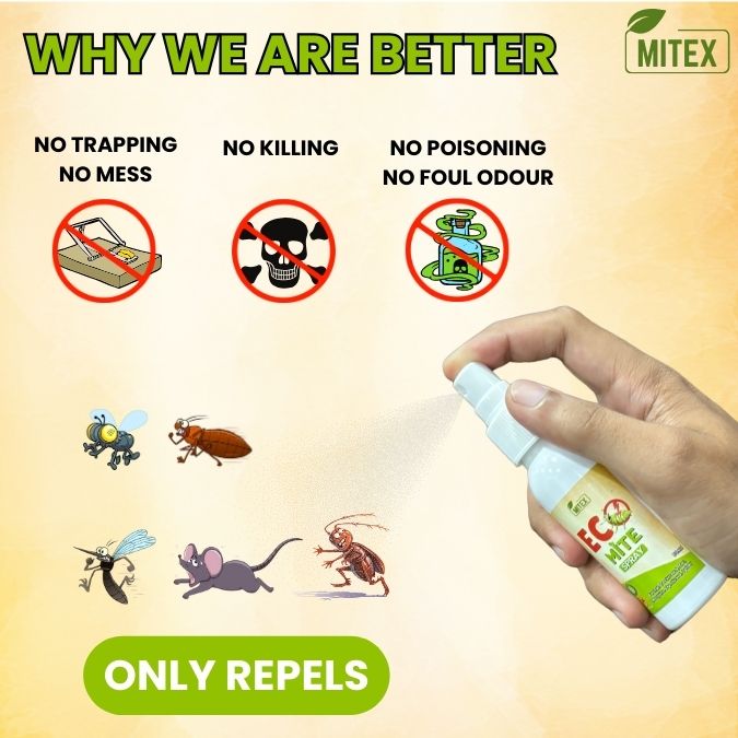 Eco Mite Spray -  BUY 1 GET 1 FREE