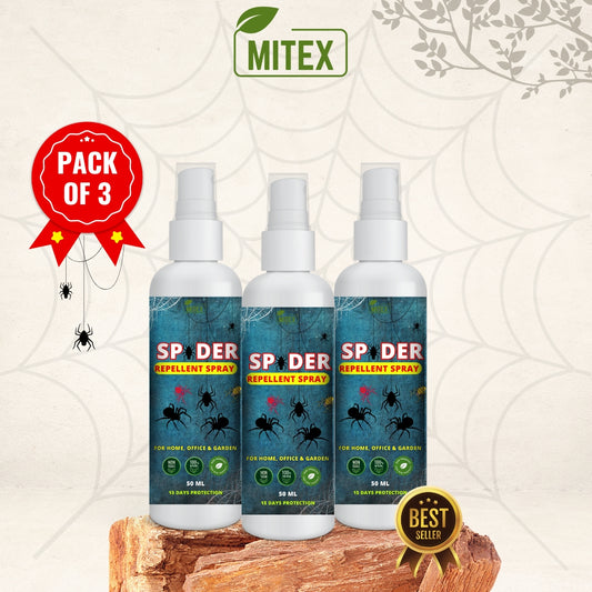 Spider Repellent Spray – Natural Protection for Home, Office & Garden