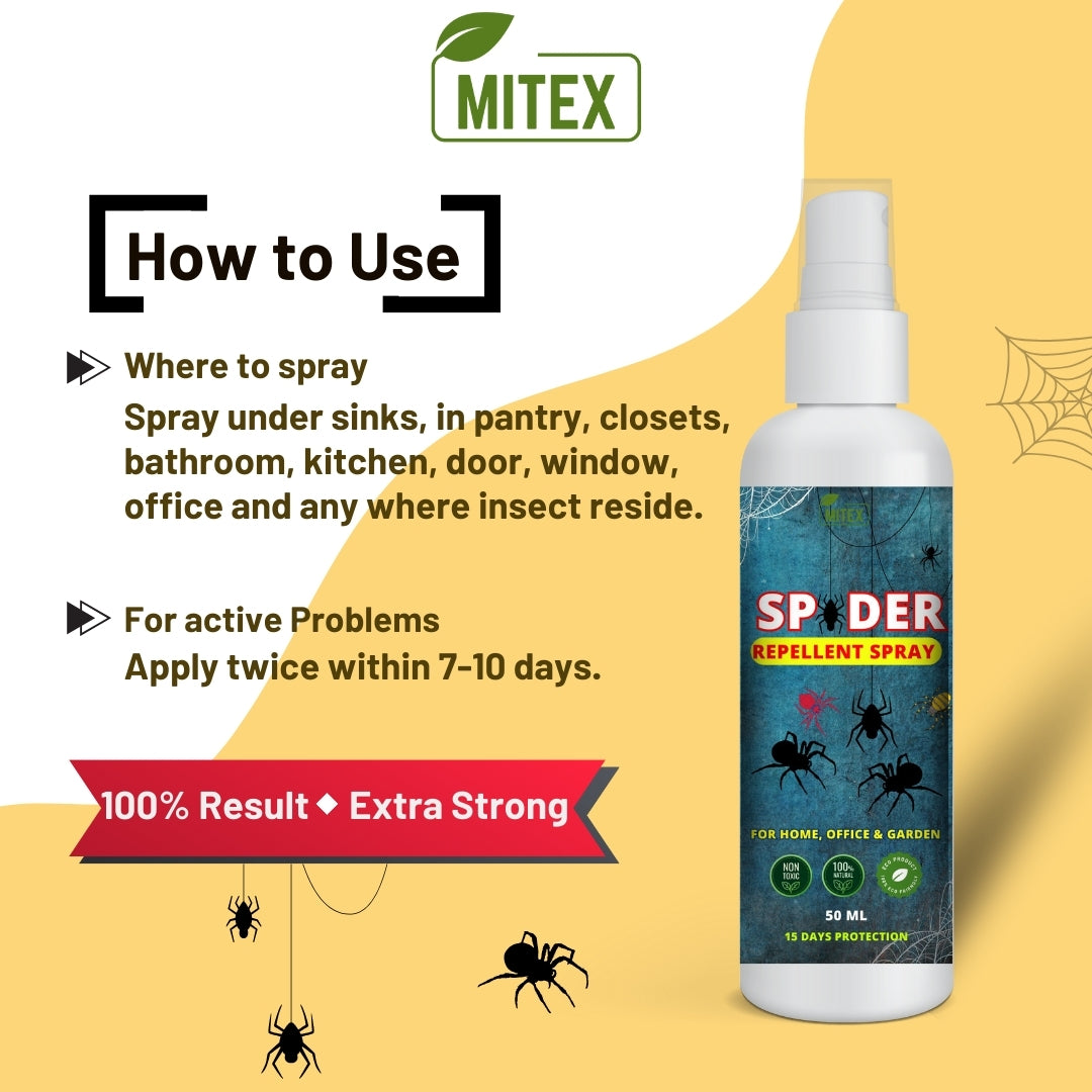 Spider Repellent Spray – Natural Protection for Home, Office & Garden